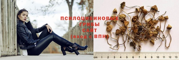 гидропоника Белоозёрский