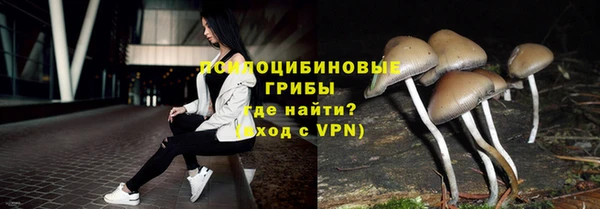 гидропоника Белоозёрский