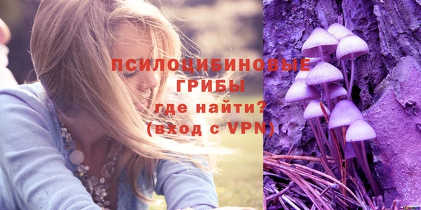 бошки Белокуриха