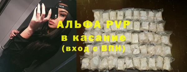 бошки Белокуриха