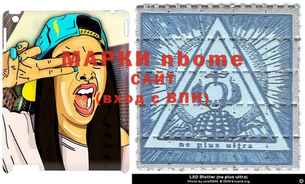 бошки Белокуриха