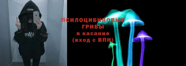 гидропоника Белоозёрский