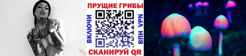 купить  цена  Буйнакск  Псилоцибиновые грибы MAGIC MUSHROOMS 